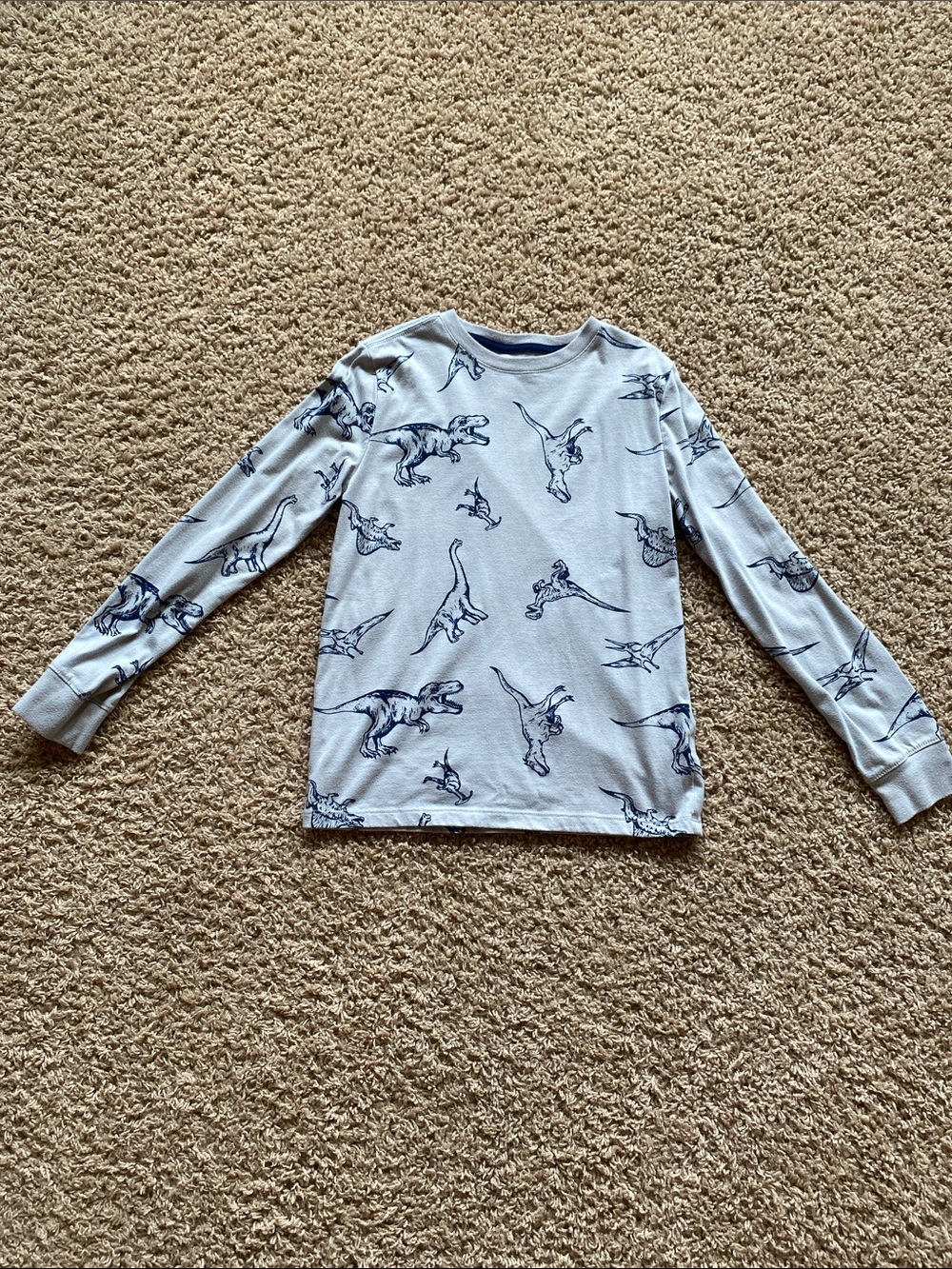 Cat & Jack Gray Long Sleeve Tee with Navy Dinosaur Print